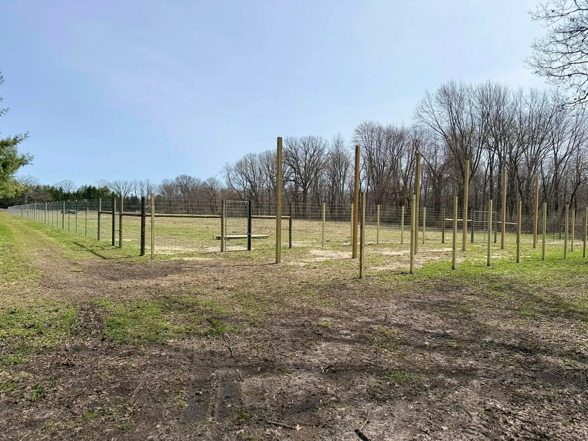 Deer fence line on open ground showing a long practical run for wildlife control.