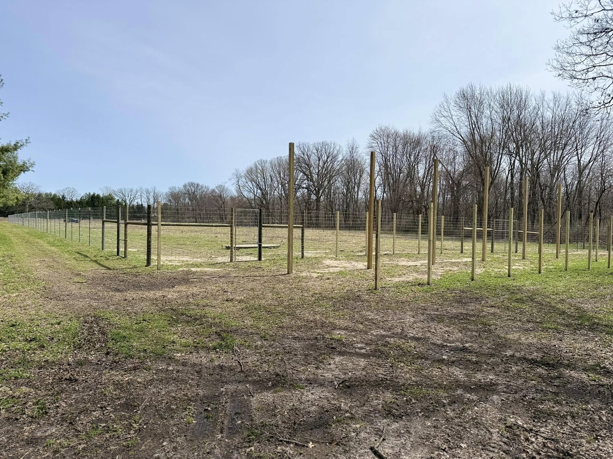 Deer fence line on open ground showing a long practical run for wildlife control.