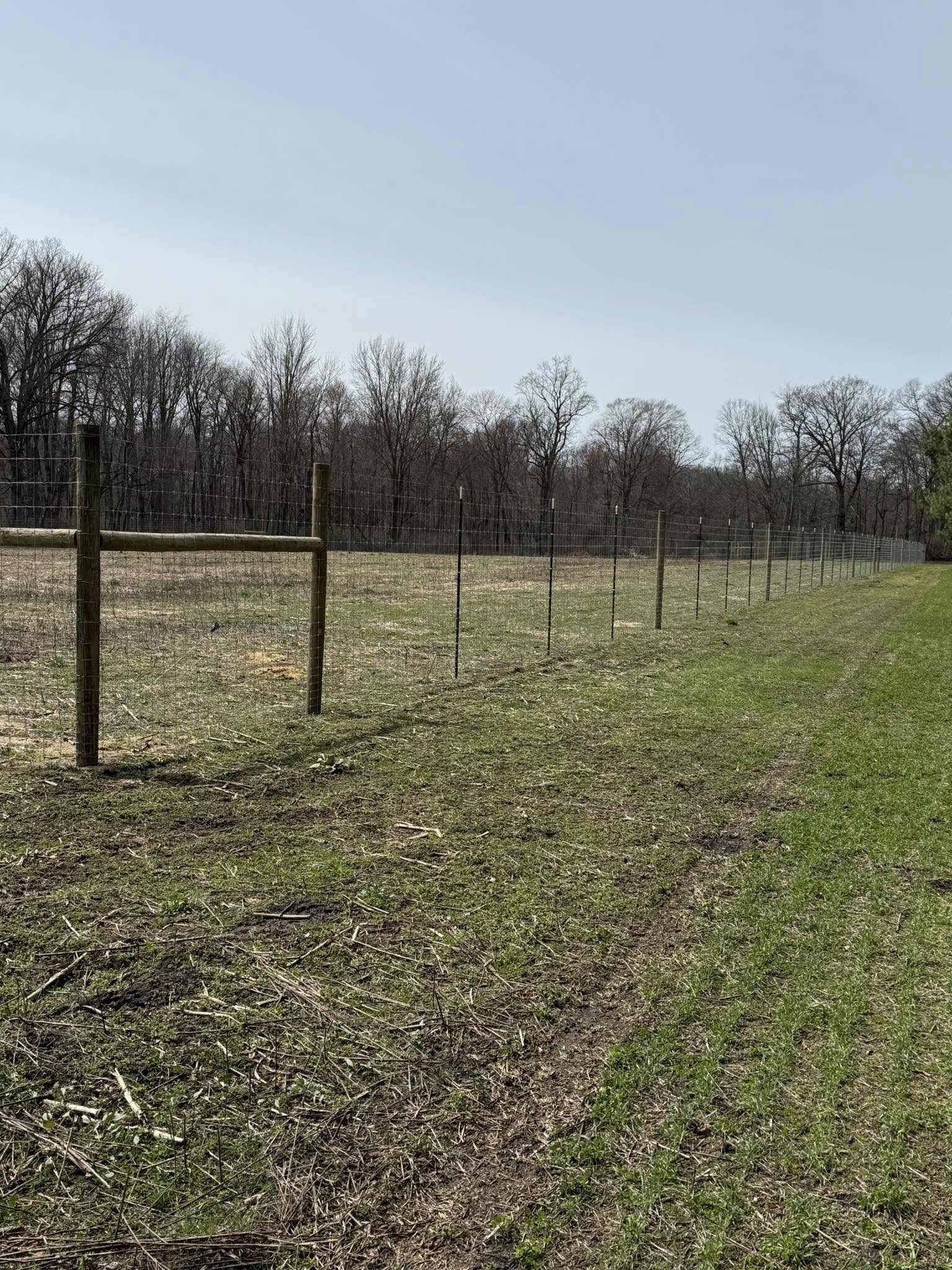 Deer fence detail showing post spacing and the fence line across open ground.