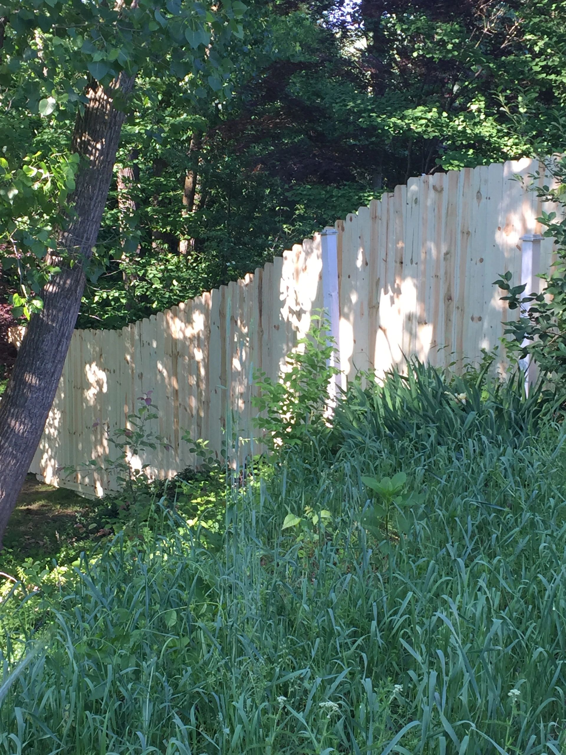 Privacy fence line following a slope and tree line with consistent height and clean transitions.